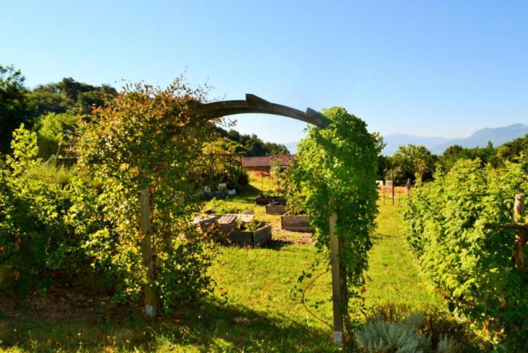 Bed and Breakfast La Voureyline Saint-Antoine  Exterior foto